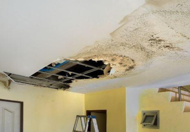 roof leak repair services in New Jersey